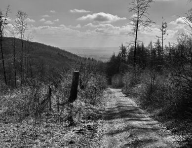 Von Lübbecke nach Porta W.