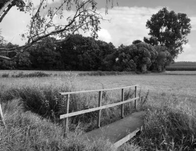 Syke – Wolfsschlucht