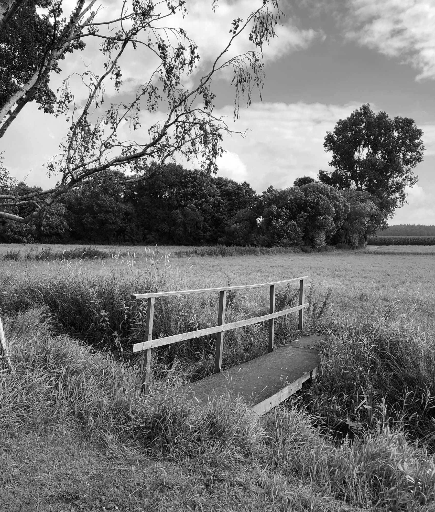 Syke – Wolfsschlucht