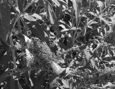 Ortasee – Norditalien